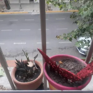 Renova Tu Energia En Habitación en casa particular